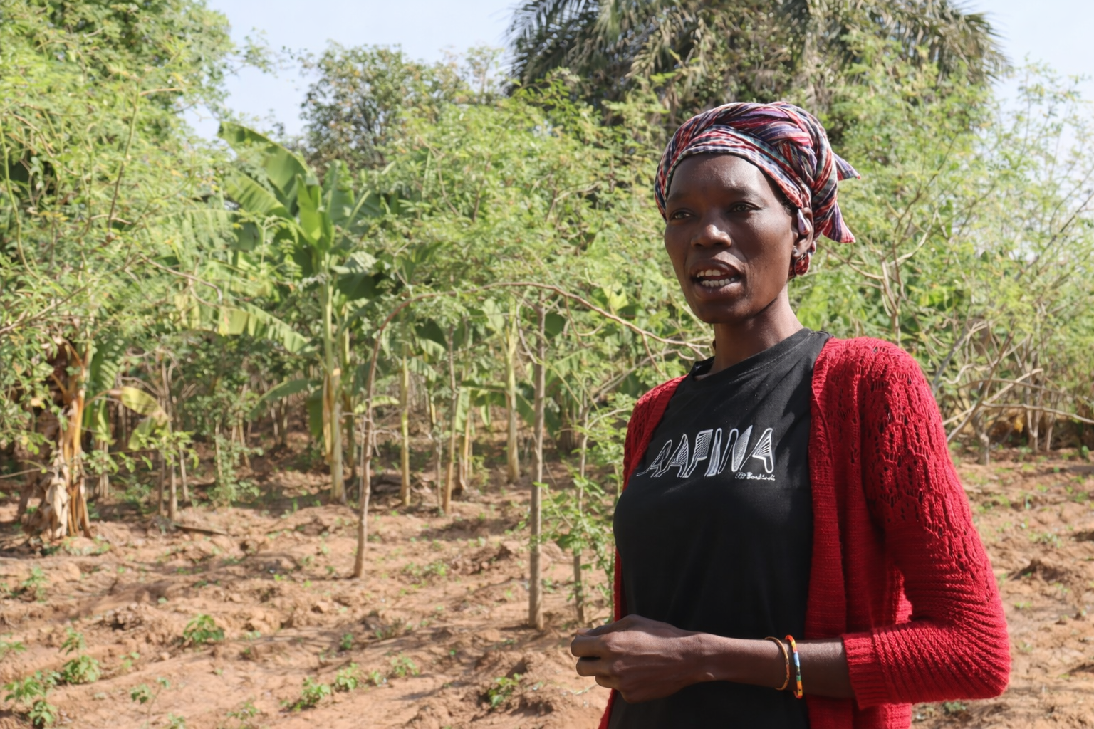 A Nafona, la terre reprend vie sous les mains de Véronique Bernier