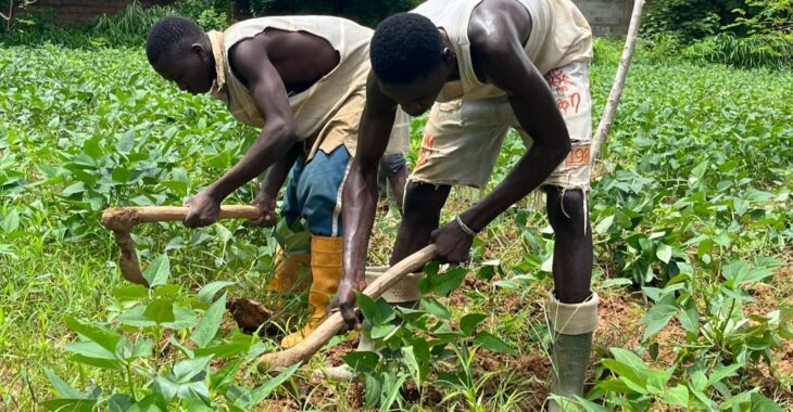 À Goundi, un centre qui transforme des vies et fait naître des entrepreneurs