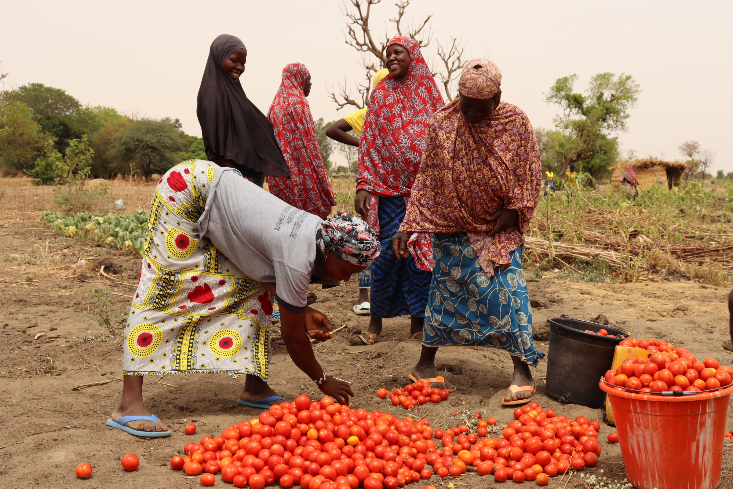 Miser sur le travail pour rendre l’espoir aux déplacés internes