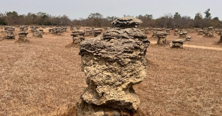Les termitières sacrées qui protègent le village de Timperba