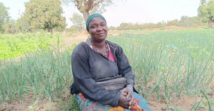 Maraîchage à Ouagadougou : Quand carottes, choux et oignons deviennent le moteur de l’autonomie féminine...