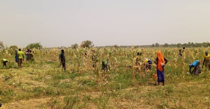 A Titao, le maraîchage aide des personnes vulnérables à reprendre leur vie en main