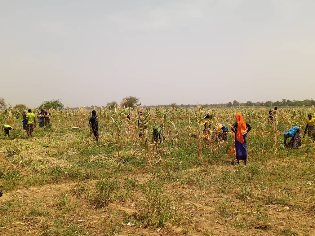 A Titao, le maraîchage aide des personnes vulnérables à reprendre leur vie en main