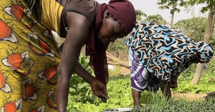 Agroécologie: Des femmes déplacées apprennent à cultiver la terre autrement à Gampèla
