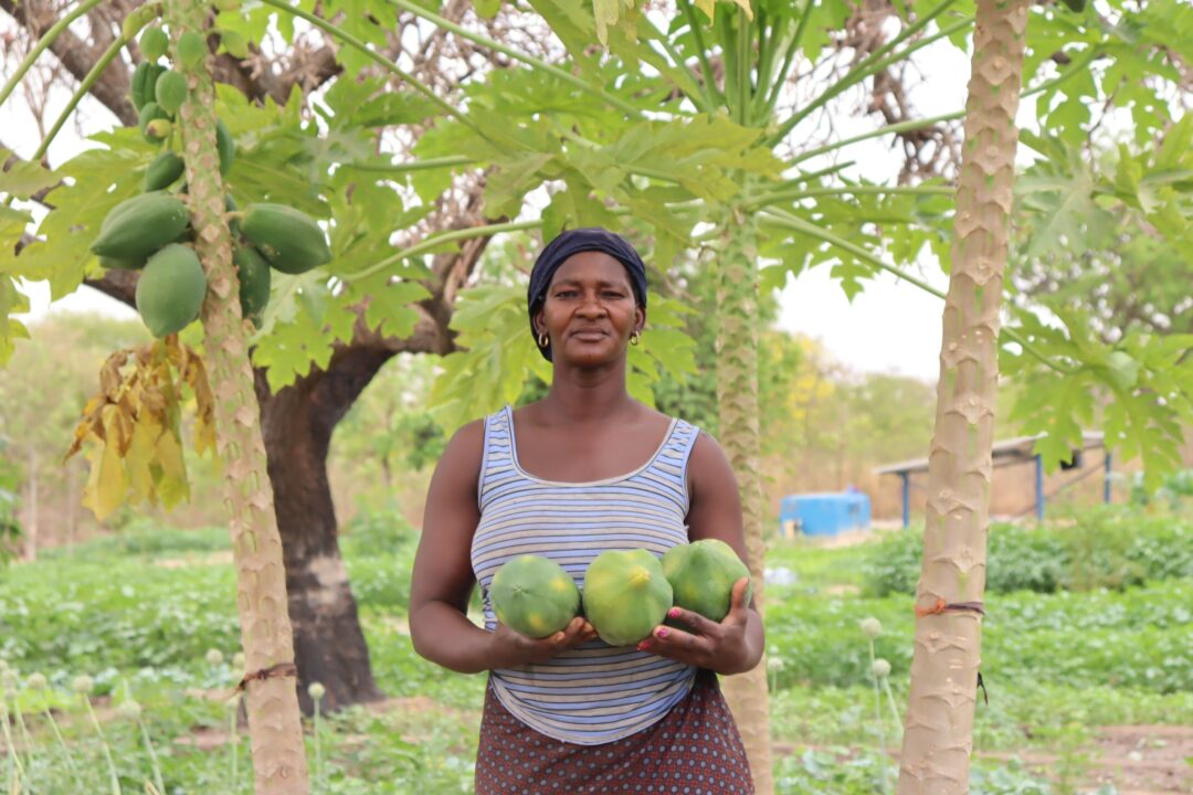 Le maraichage qui change la vie de femmes dans le village de Tiakané