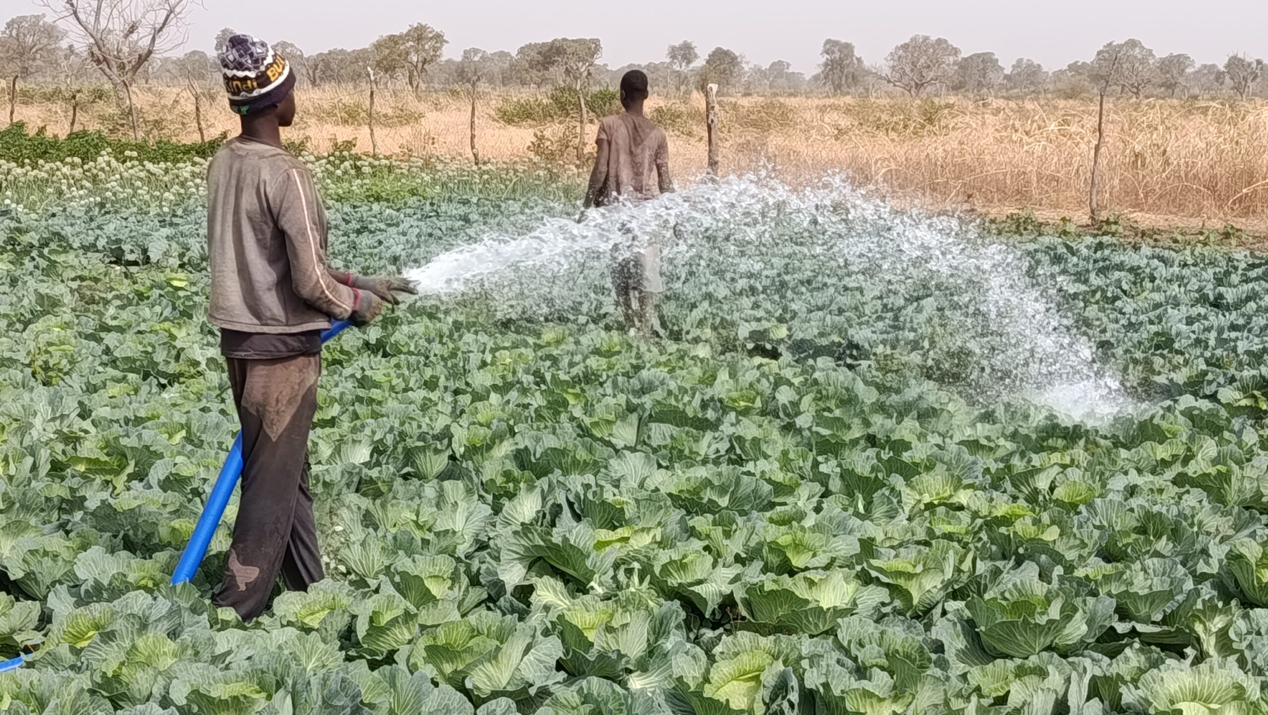 Soumaïla Seté, l’homme qui aide sa communauté grâce à la terre
