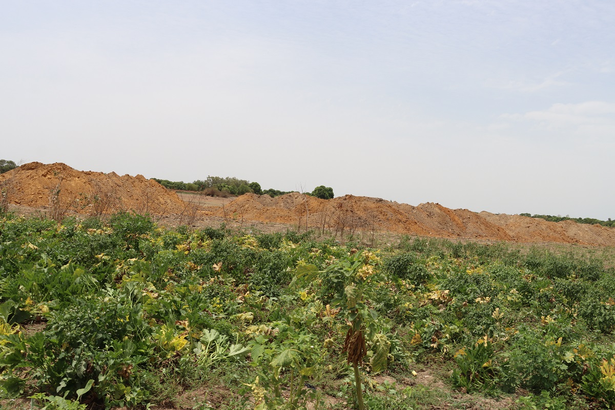 Barrage de Boulbi : les maraîchers sous pression, entre survie et restauration