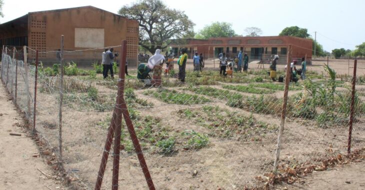 Dori : les jardins scolaires deviennent des salles de classe à ciel ouvert