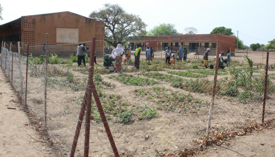 Dori : les jardins scolaires deviennent des salles de classe à ciel ouvert