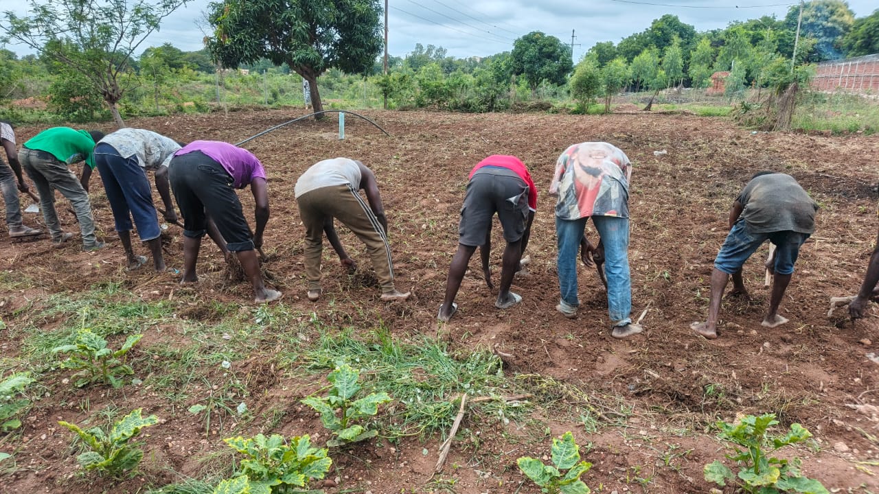 Banfora : des détenus mobilisés pour la production agricole