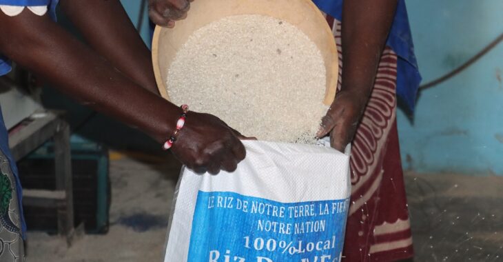 À Fada, le Riz de l'Est nourrit l'espoir d'une souveraineté alimentaire locale
