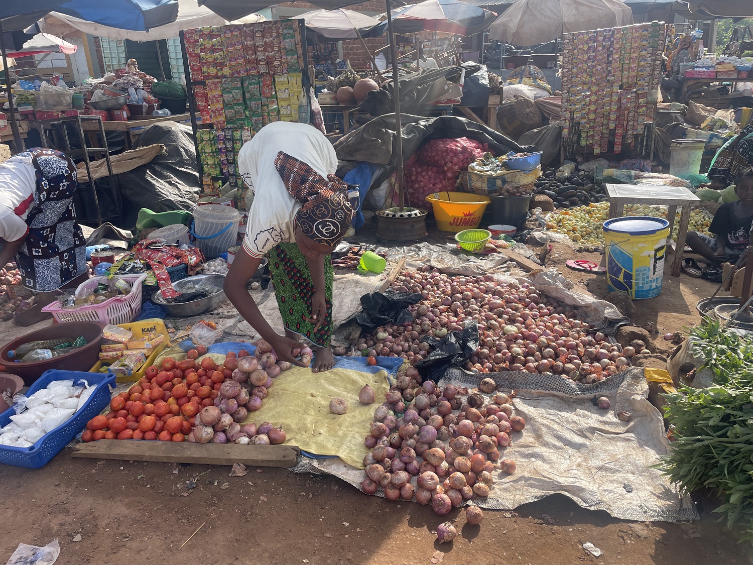 À Gaoua aussi, les condiments se font rares et coûtent plus cher