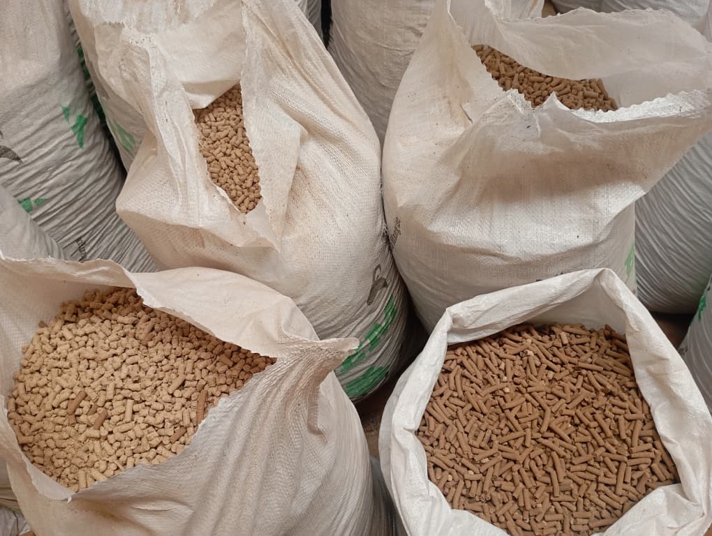Des déchets de mangue transformés en aliments pour bétail à Bobo-Dioulasso