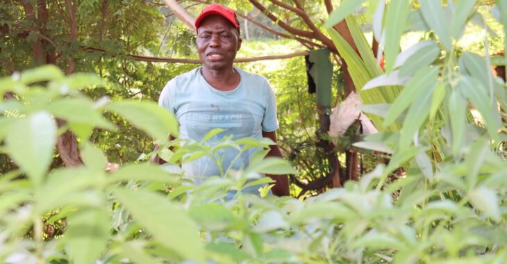Segbnonma Nikiéma, des forêts ivoiriennes aux pépinières de Ouagadougou