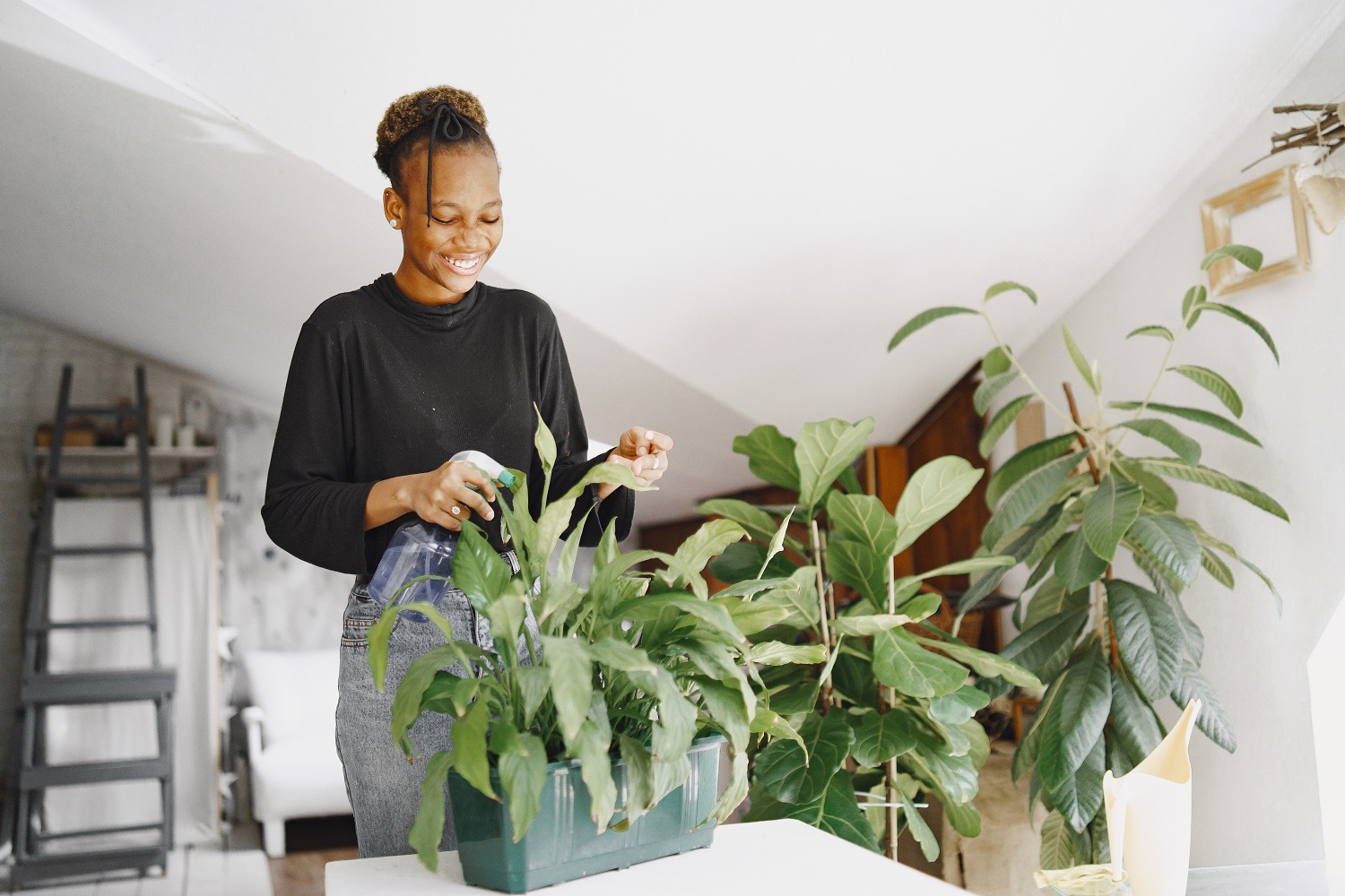 À Ouagadougou, les plantes d’intérieur séduisent les amoureux de la nature