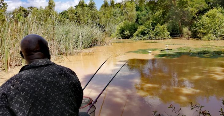 Ouagadougou :  des jeunes pêchent de la patience et du poisson