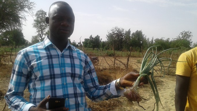 Saidou Ouédraogo, l&rsquo;agrobusinessman exemplaire
