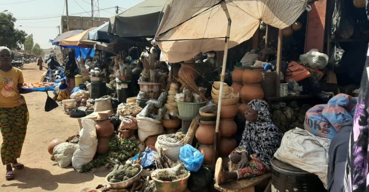 Pédiatrie traditionnelle : les tisanes de ‘’yaaba’’ toujours prisées par des jeunes mamans