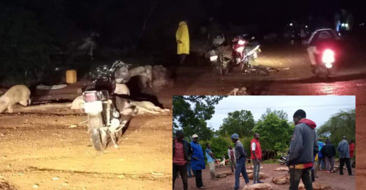 Pabré : un marché nocturne de cochons prisé par des jeunes