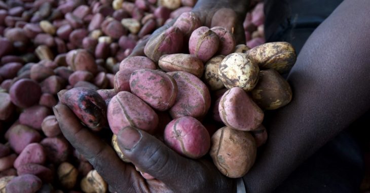 Burkina Faso: la cola coûte cher sur le marché