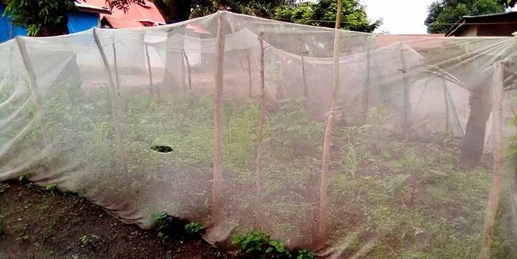 Les moustiquaires utilisées à d&rsquo;autres fins