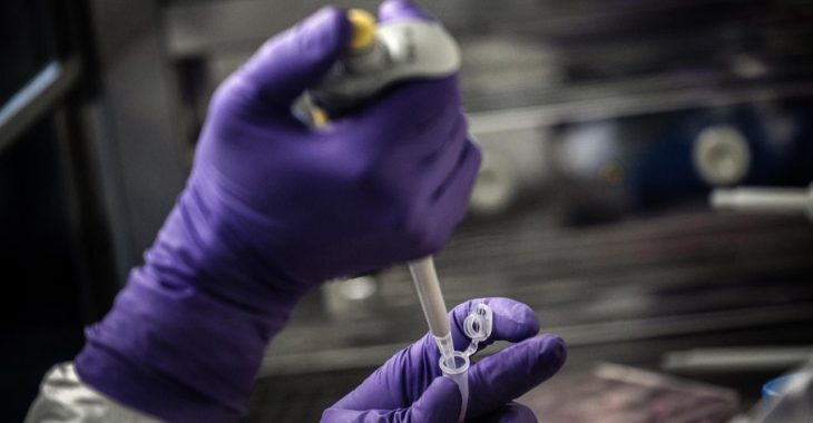 Lutte contre le coronavirus : l’autodiscipline avant toute chose