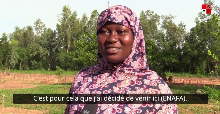 Agriculture : Matourkou, un passage initiatique pour jeunes diplômés
