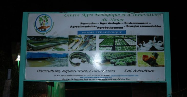 Bobo Dioulasso: un centre agro-écologique pour la promotion de l'agriculture biologique
