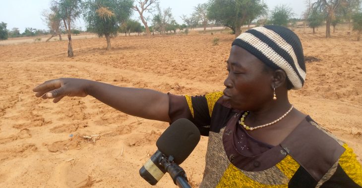 Burkina Faso : comment les braves femmes du nord préparent les champs par le zaï