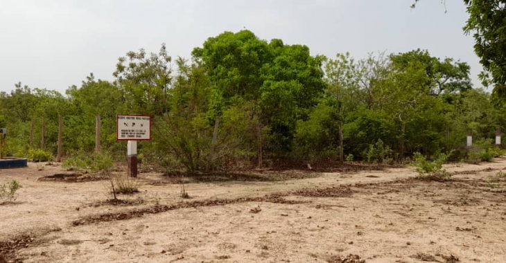 Olivier Paré, une passion qui redonne vie à la terre