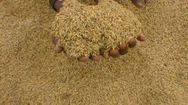 Burkina : le riz local n&rsquo;a pas la cote