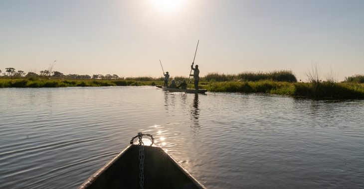 Pisciculture : l’ambition des jeunes pêcheurs de Douroula-Badala
