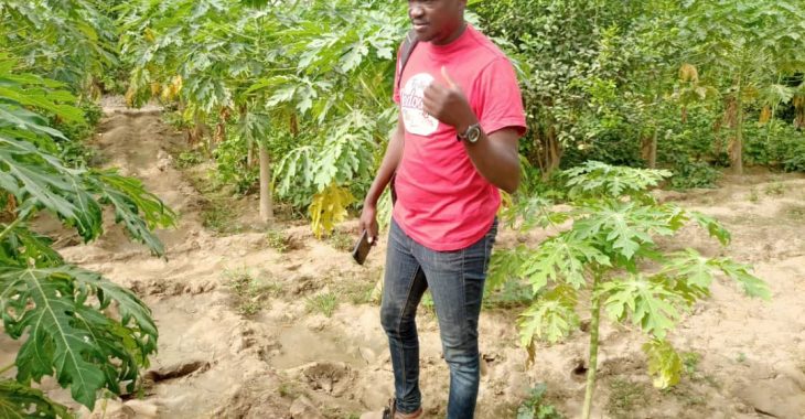 L’agrobusiness : la nouvelle boussole de Daouda Touré