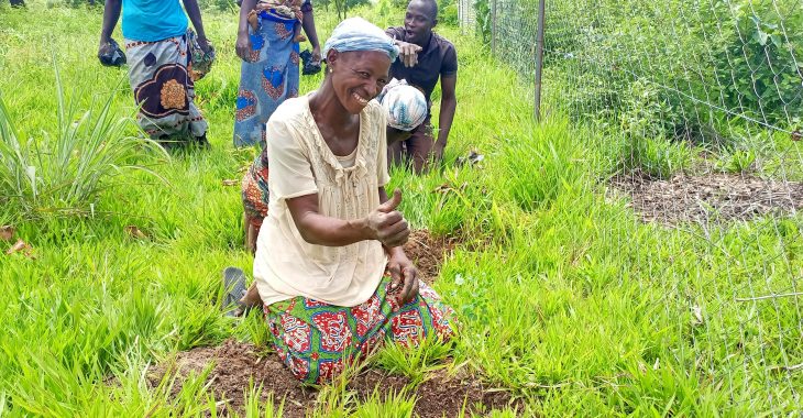 " Les arbres fertilitaires augmentent les rendements de culture"