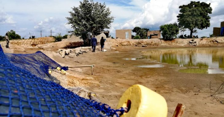 Bagré : des tonnes de poissons emportées par les eaux