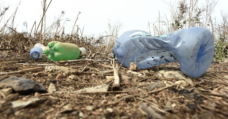 « A Pô, les gobelets en plastique ont envahi les maquis »
