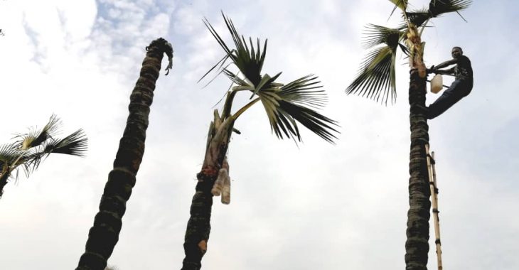 Extraction du bandji: « Quand tu couches avec la femme d’autrui (…) », prévient un jeune